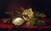 Heade, Martin Johnson